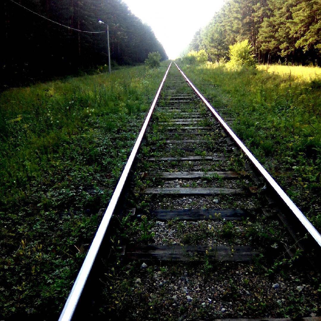 Пора в путь-дорогу!