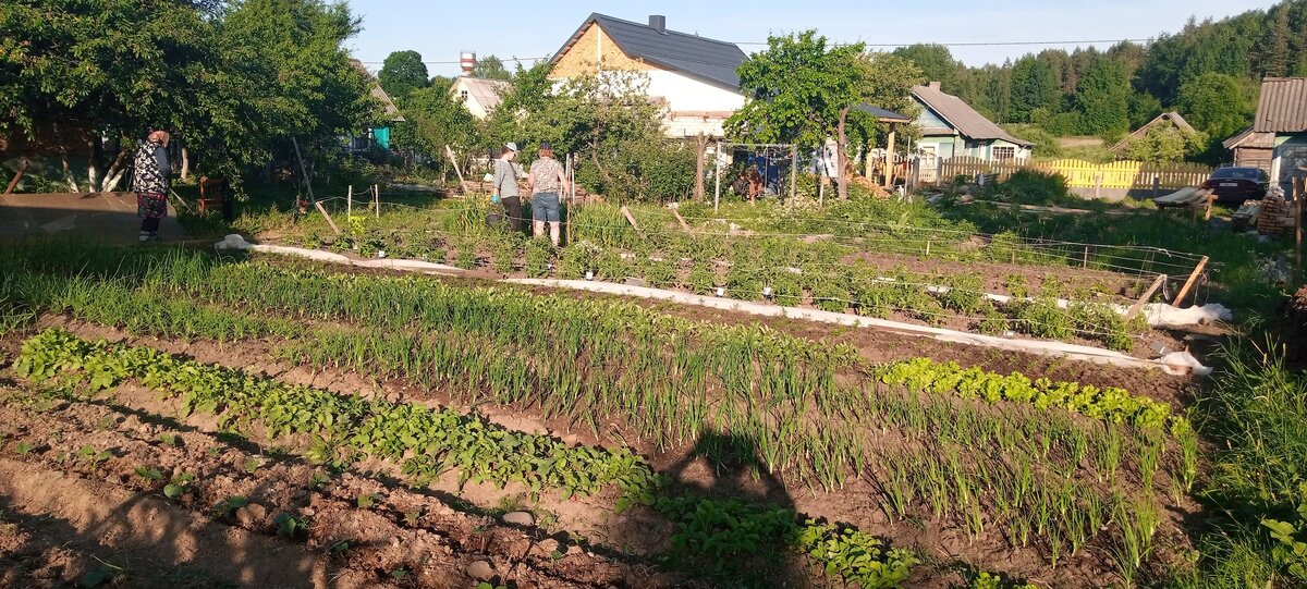 И это мне надо?