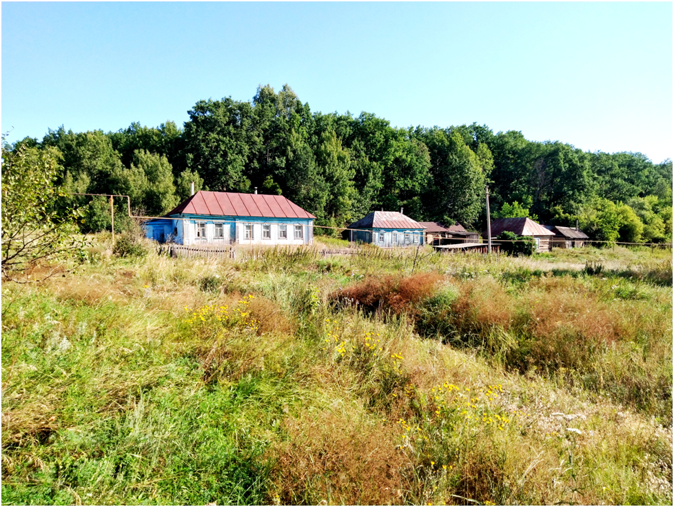 Село николаевка