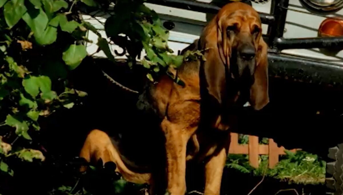 Фото с 103news.com