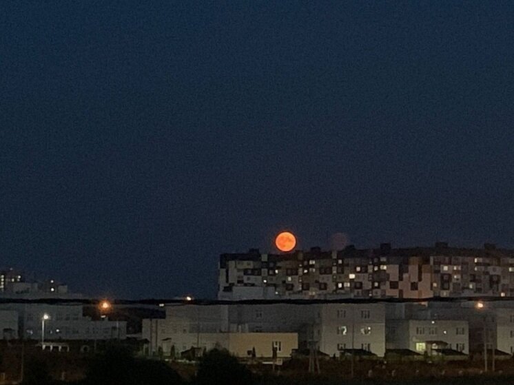     Фото: "МК в Калуге"