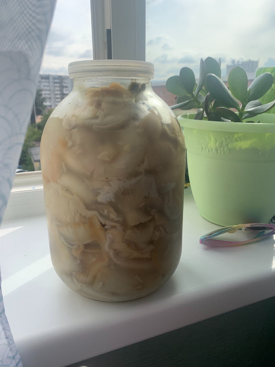 Вот какие красавцы. На днях испытаю😍 супчик с ними👌