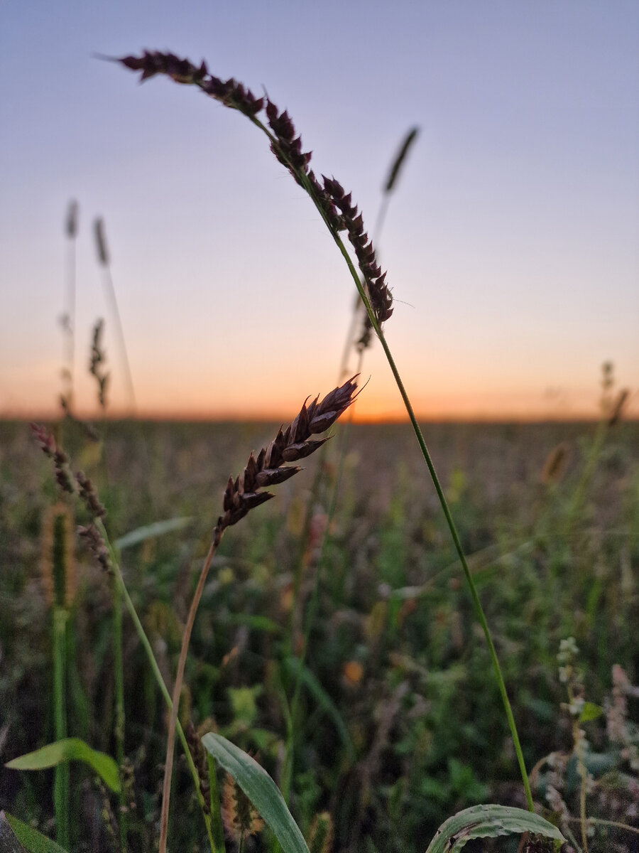 Все фото автора