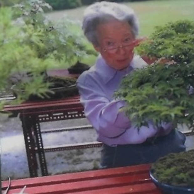 Рут Стаффорд-Джонс в своем саду.  
Источник: https://leicestershirebonsaiclub.wordpress.com/2016/06/07/bonsai-at-kew-gardens-london-may-2016/#jp-carousel-1711
