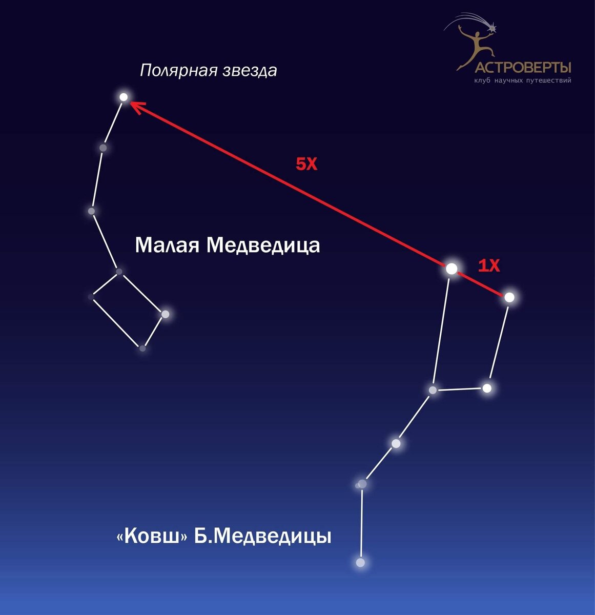 Созвездие Большая Медведица (UMa, Ursa Major)