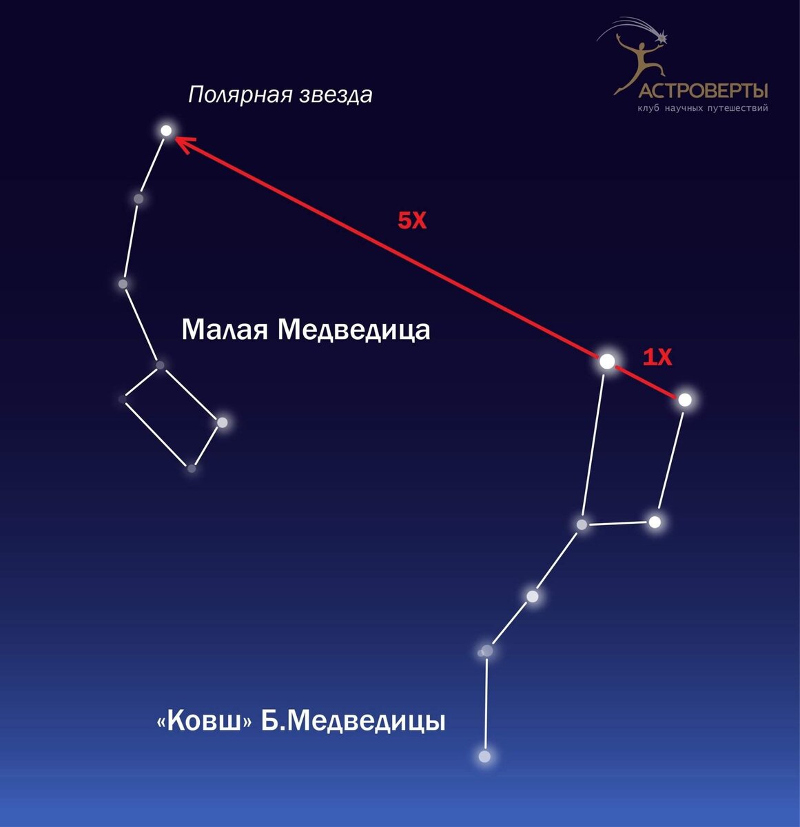 Звезды ковша Большой медведицы: расположение и особенности | Поход лайфхак  | Дзен