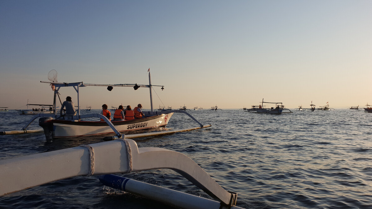 Дикая лодочная толкотня на севере острова Бали в погоне за дикими дельфинами