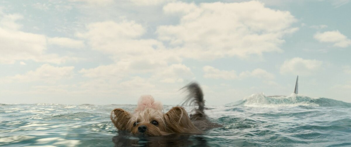 Когда поглощение глупых людишек не выводит зрителя из состояния сомнамбулы, режиссёр принимает запрещённый и возмутительный, но эффективный способ заставить зрителя переживать. Под угрозой оказываются пёсики. А за пёсиков всегда боязно. 