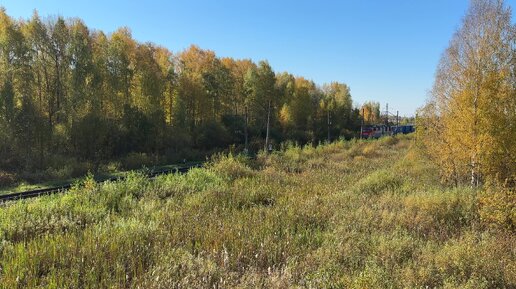 Золотая осень на РЖД. Электровоз ВЛ80С с контейнерным поездом следует по грузовому обходу Кирова