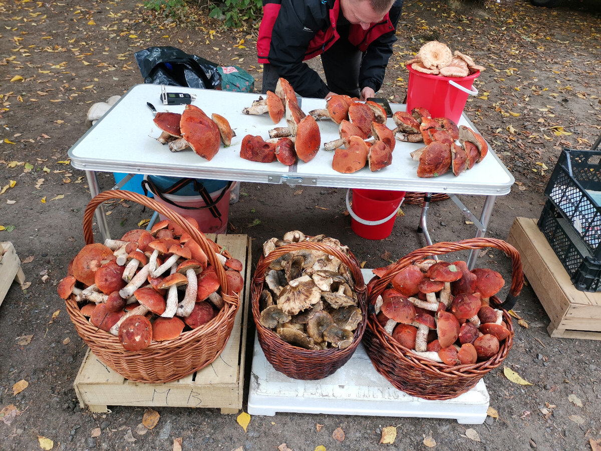 Фото городского рынка.