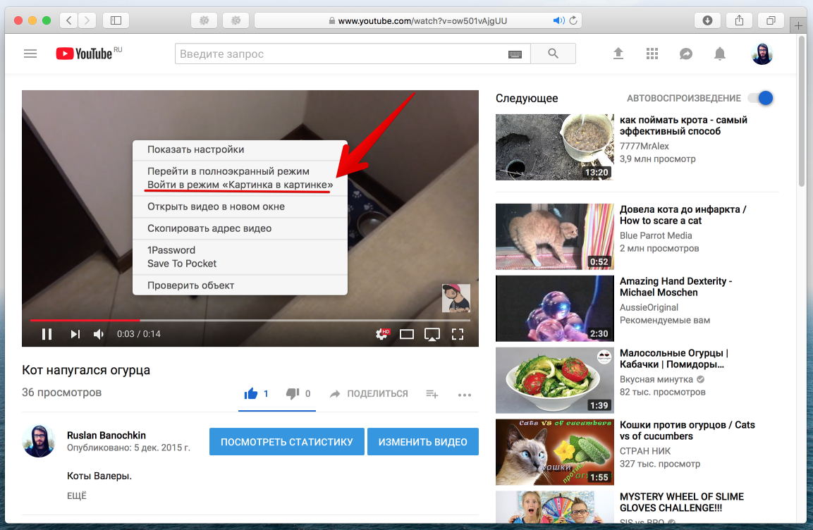 Войти в режим «Картинка в картинке»