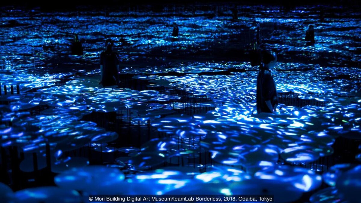 Путь моря -цвета жизни