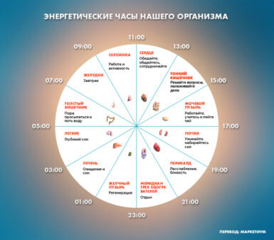 Как можно выспаться за 5 часов и быть эффективным?