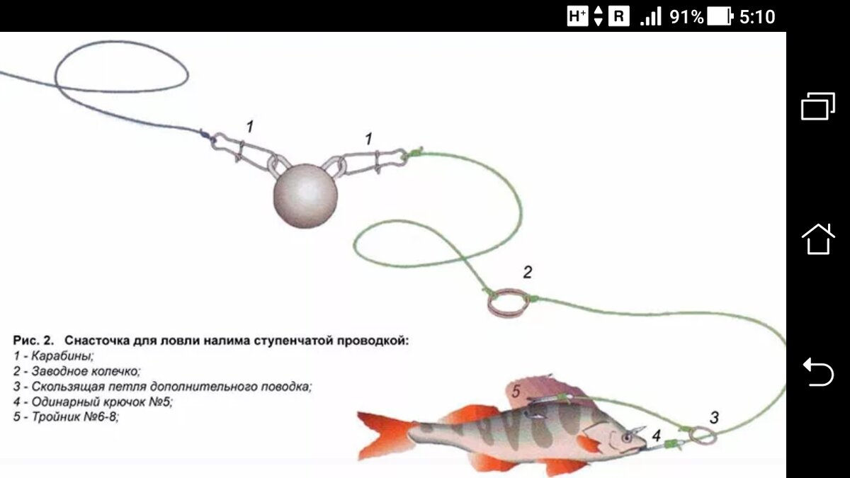 фото рисунок джиг головка шар для ловли на живца щуки, налима и другого хищника