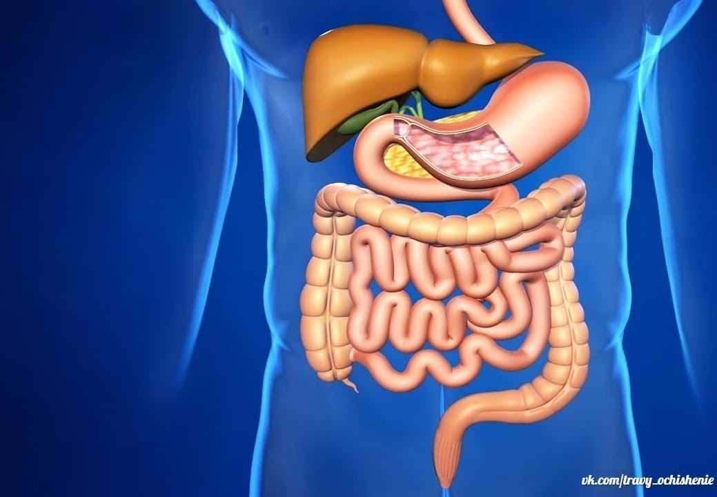 Есть ли паразиты в организме человека – признаки и некоторые симптомы помогут это выяснить. Будьте чуточку внимательнее к себе, и тогда не пропустите некоторые тревожные звоночки.  
Итак, признаки наличия паразитов в организме человека следующие: общая слабость и повышенная утомляемость; частое состояние раздражительности; наличие синеватых кругов под глазами; быстрое похудение без других очевидных причин; усиленный аппетит и одновременно уменьшающаяся масса тела; неприятный запах из ротовой полости даже после чистки зубов; частые диареи или же запоры; вздутие живота; плохой внешний вид кожи. 

Каким образом оказываются паразиты в нашем организме? Каковы причины заражения ими? 

Прежде всего, это недостаточная термическая обработка мясных, рыбных, а зачастую и молочных продуктов, зараженных яйцами глистов. 
Плохо вымытые фрукты, а также овощи. 

Хождение босиком по земле, на которой могут оказаться яйца некоторых паразитов, способные проникать в организм через кожу. 
Вода, являющаяся зараженной продуктами жизнедеятельности паразитов . Руки, помытые без мыла или вовсе немытые. В течение дня вы можете в общественных местах десятки раз прикасаться к дверным ручкам, поручням в общественном транспорте, и так далее. 

Нет никакой гарантии, что они стерильно чисты, а поэтому мыть руки нужно как можно чаще, особенно после контакта с предметами общего пользования. 
Мухи и другие насекомые, являющиеся переносчиками многих заболеваний.