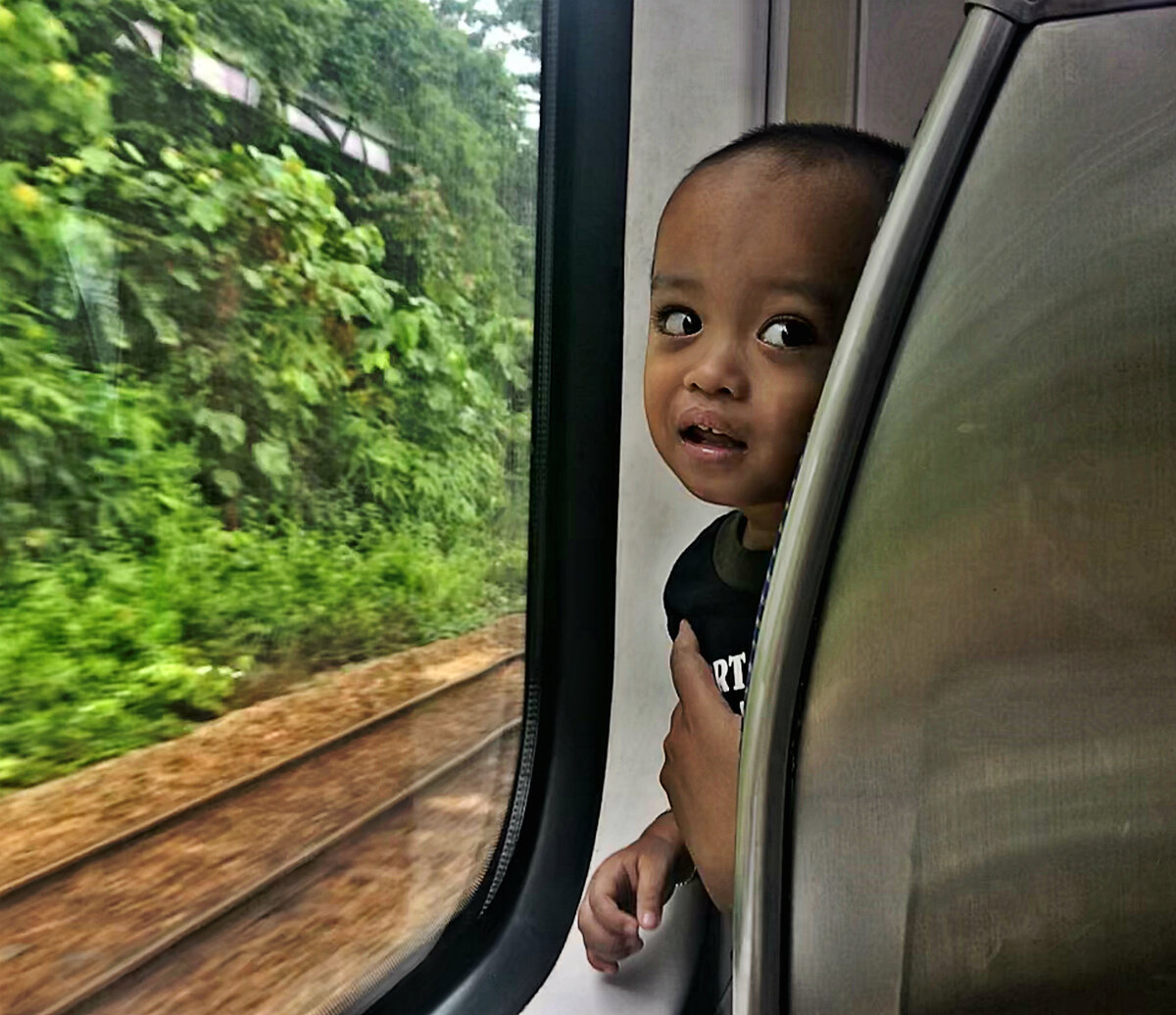 Фото из электрички KL Sentral – Seremban