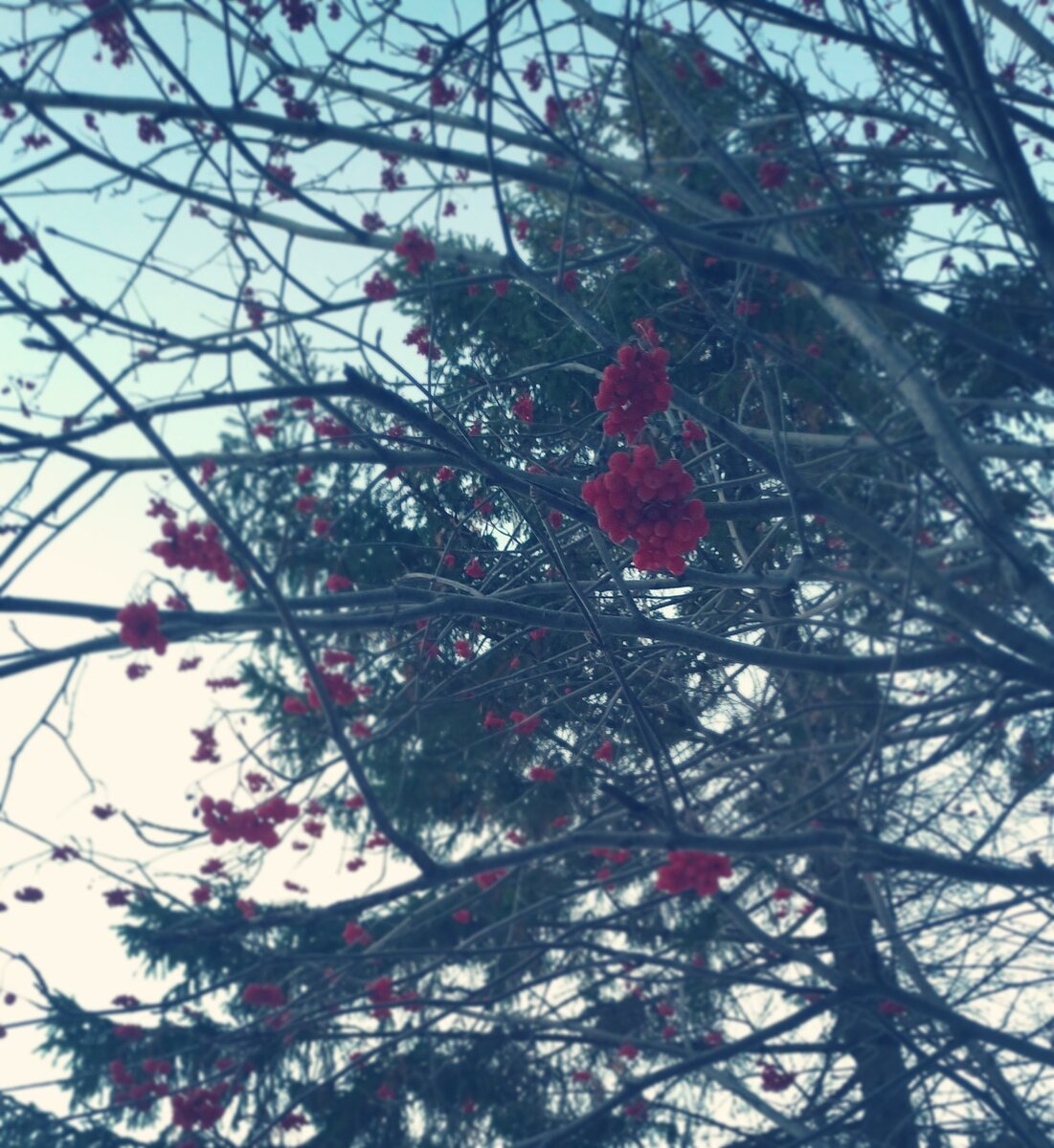 фото из личного архива