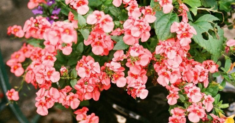 Источник фото: flickr.com