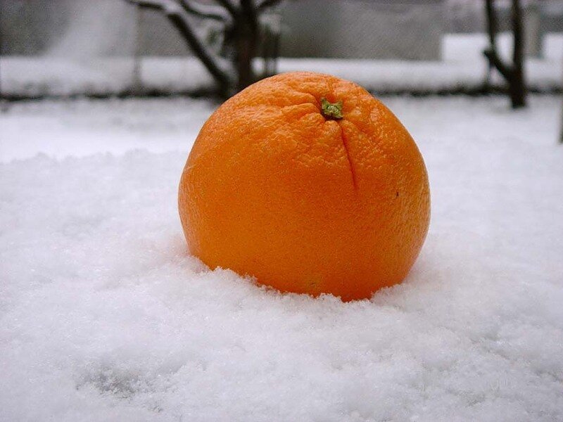 Подписывайтесь на канал. Ежедневные публикации легкого чтива.