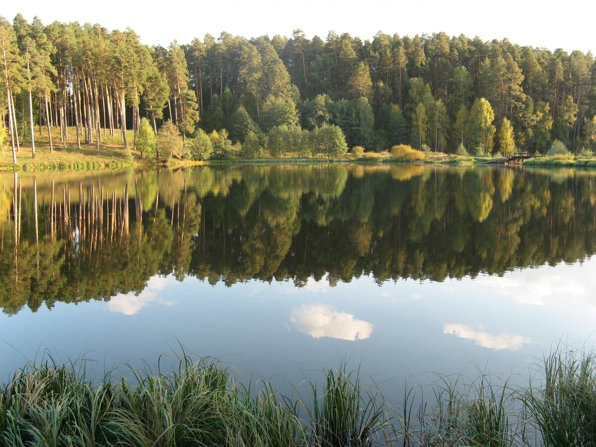 Белое озеро Майнский район Ульяновская область