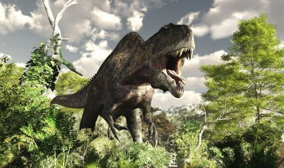 Нет здесь никакого Тираннозавра, хватит звонить по этому номеру!!!