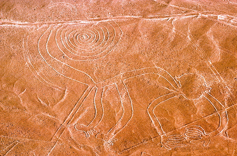 Линии Наска