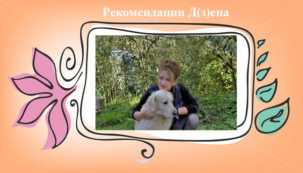 Источник фото Дзен канал "ТРИ СОБАКИ-ДВА ХОЗЯИНА"