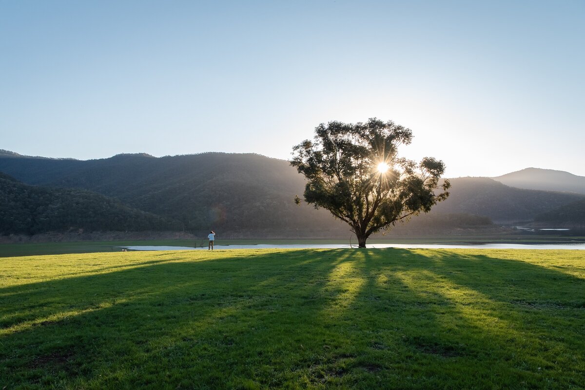 фото из pixabay