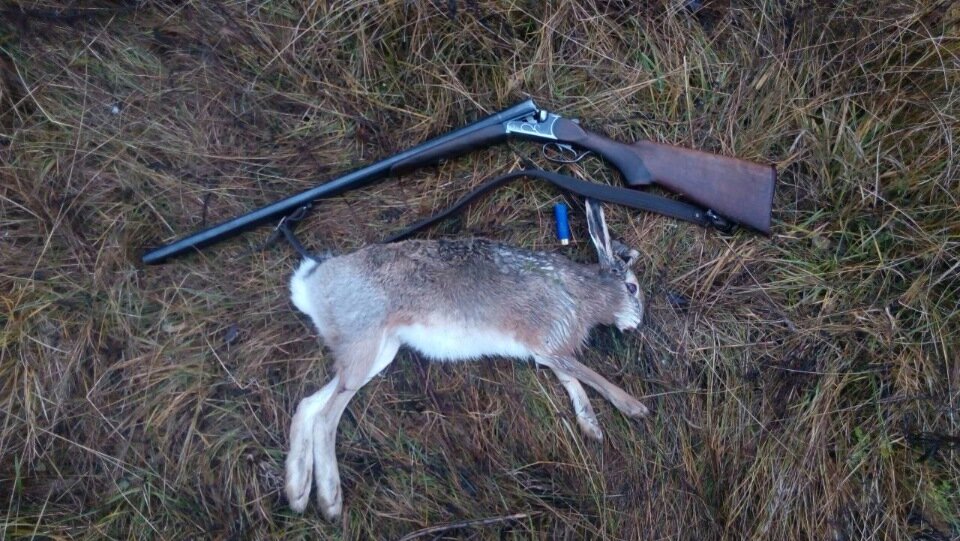 Яндекс.Картинки