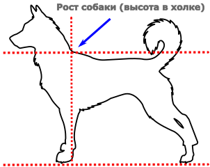 «Базовая схема»