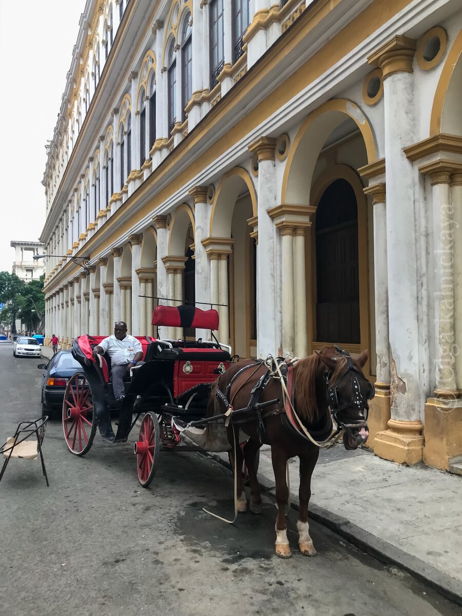 Такая «кубинская поездка» запомниться надолго.