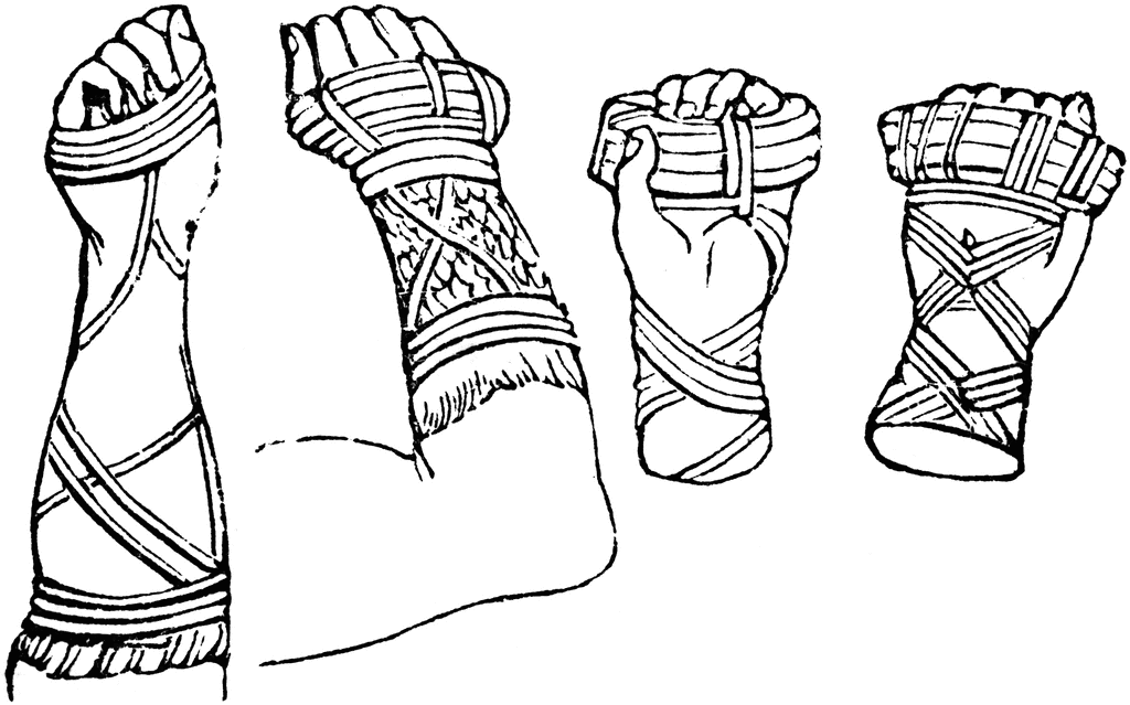 цестус. источник: pinterest 