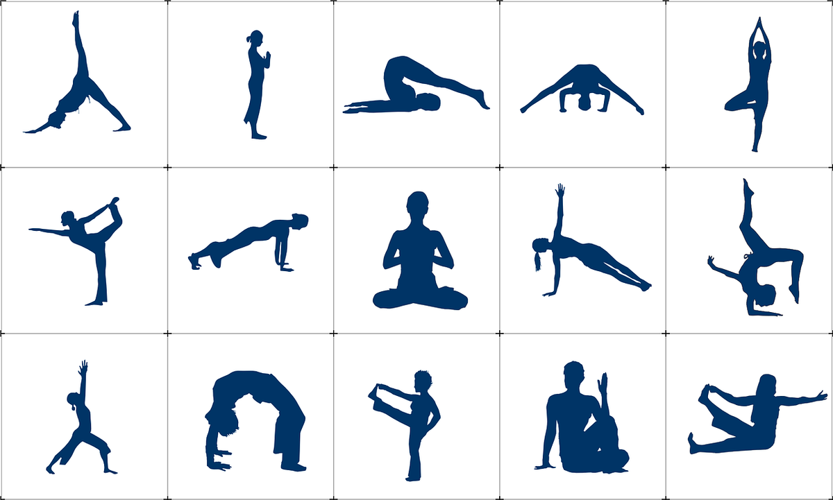 Хатха-йога: польза, вред и 7 упражнений для новичков