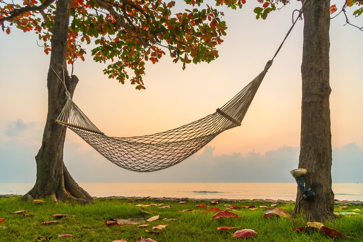 https://ru.freepik.com/lifeforstock