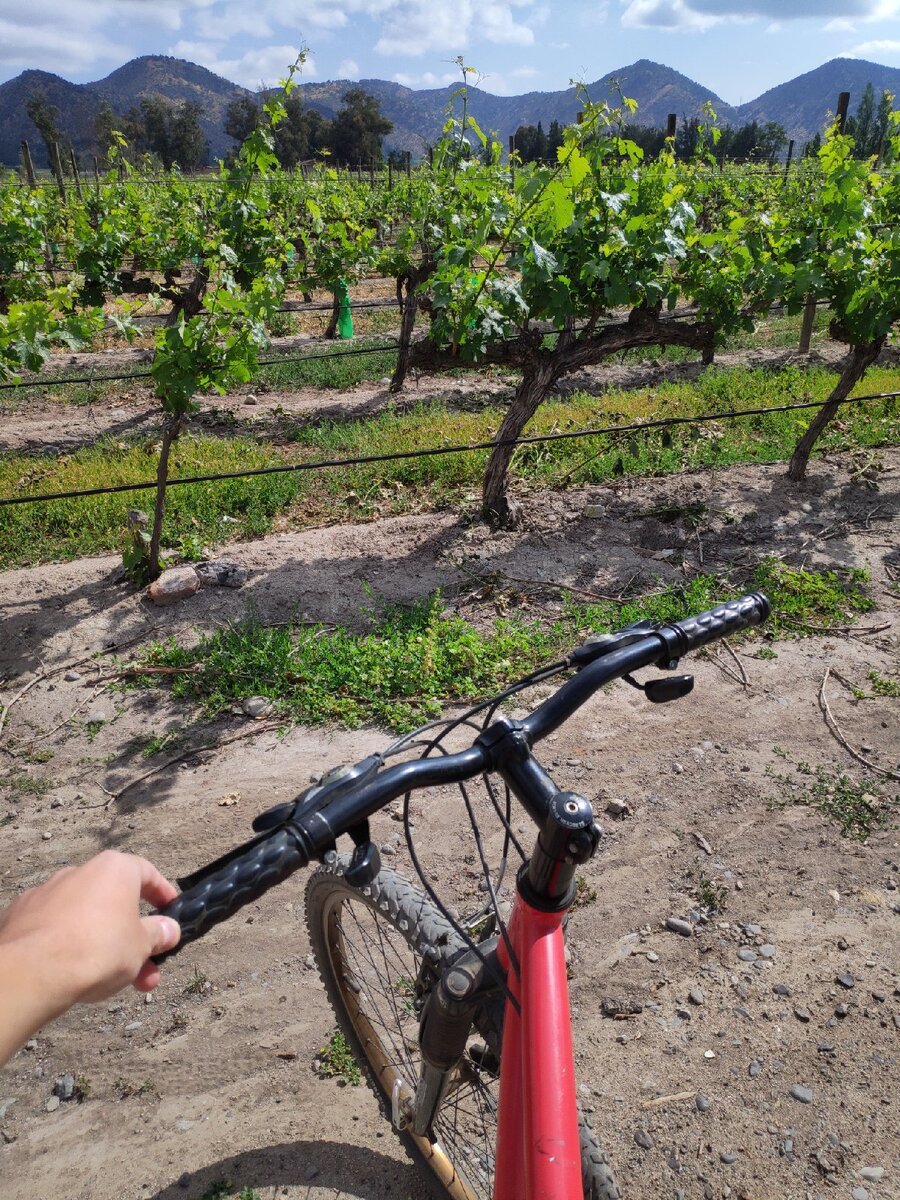 В полдень начало припекать)