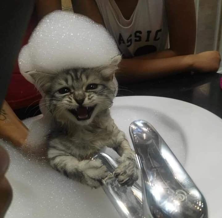 Источник фото: edith.heroblog7.com