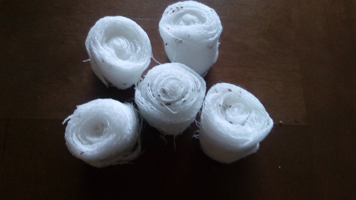 Посев в марлевые жгутики. Фото автора