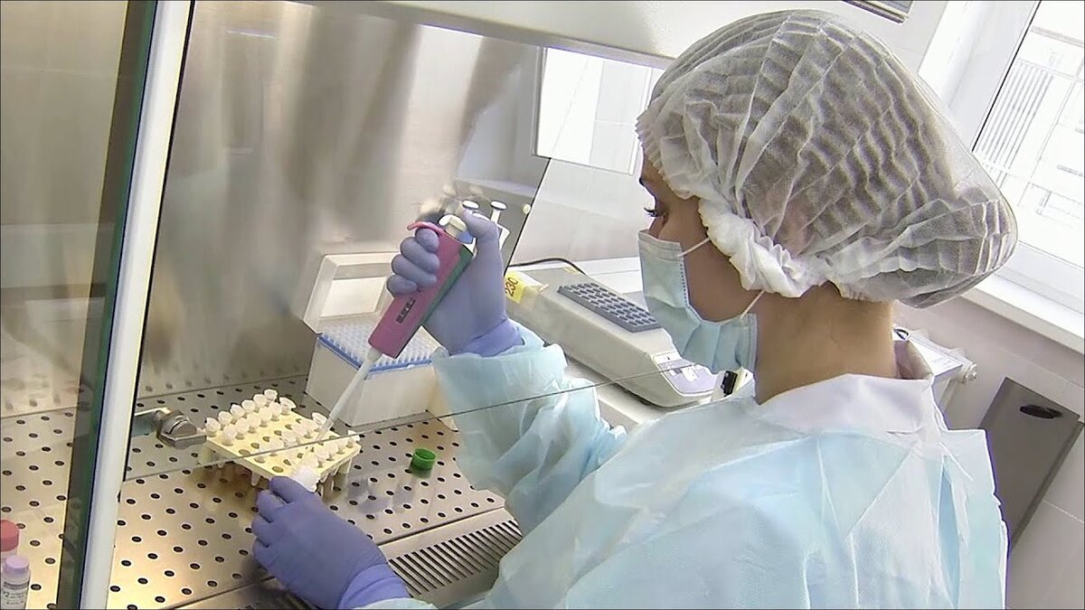 Фото из интернета.