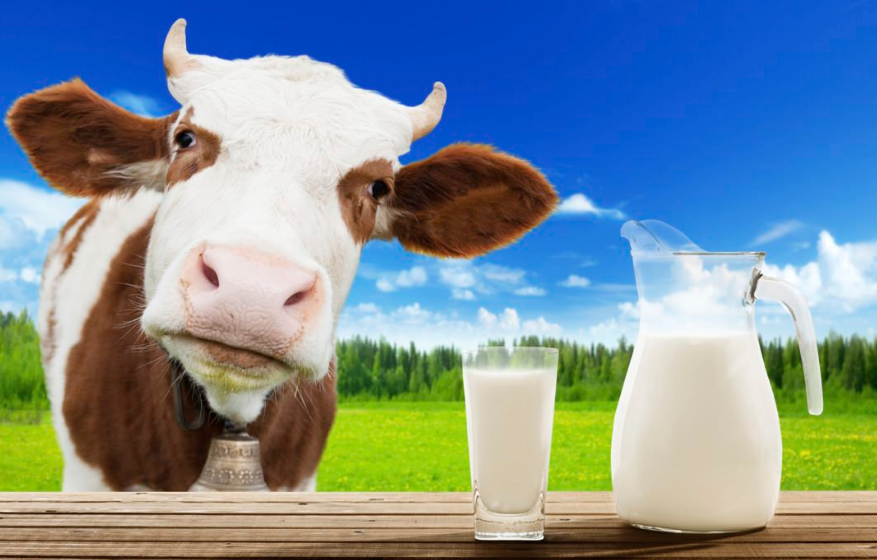 Молоко содержит много кальция.