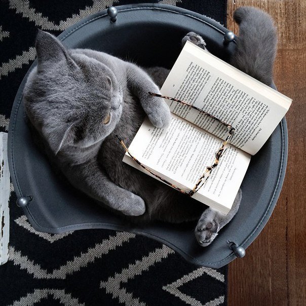 Будьте умными.