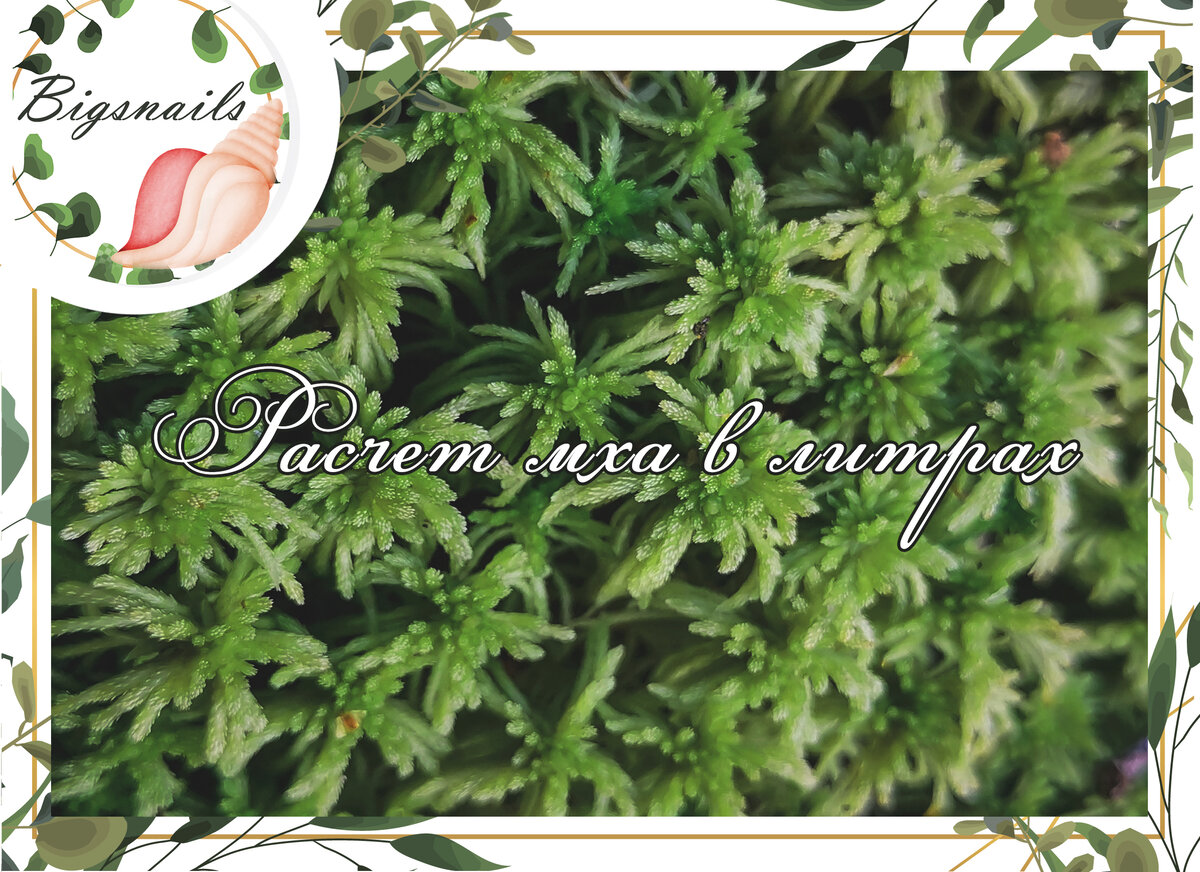 расчет сфагнума в литрах