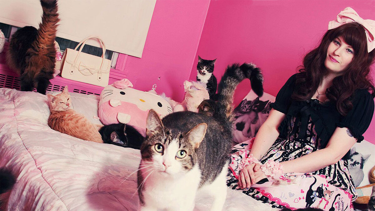 Буду благодарен, если вы подпишитесь на мой канал, а также поставите лайк. Так вы очень сильно поможете развитию канала. 