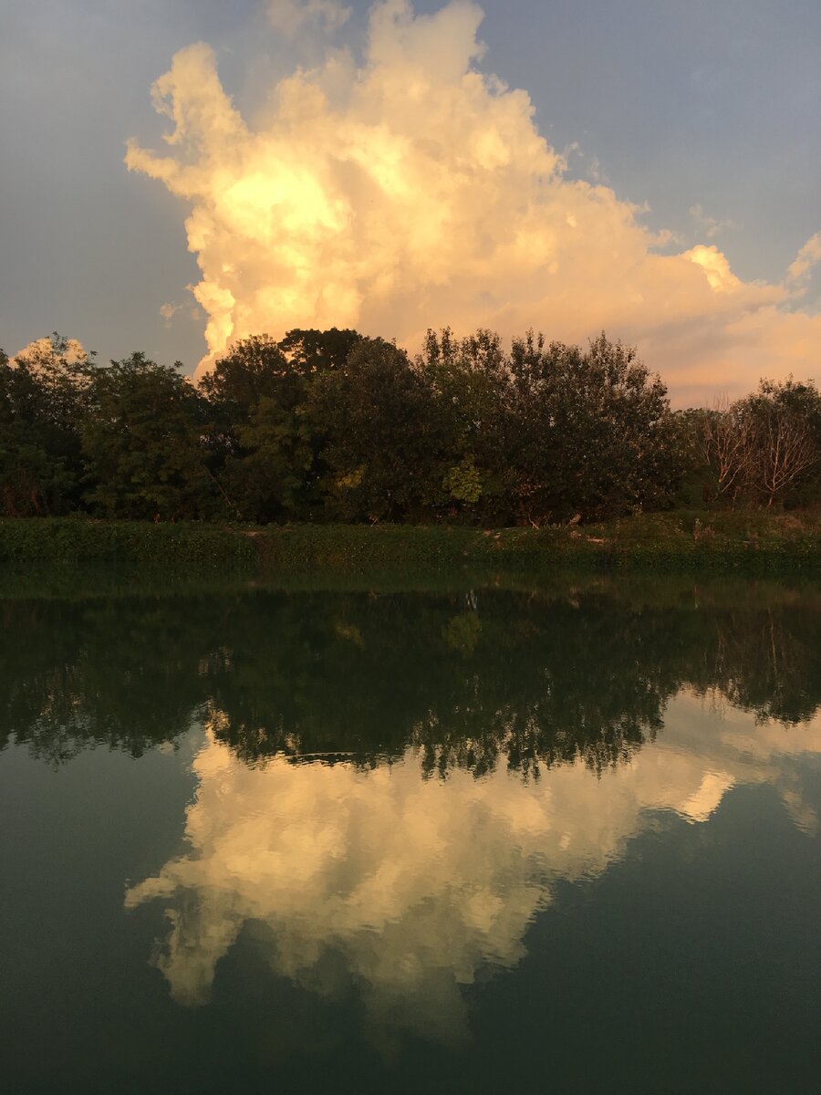 Пруд недалеко от дома