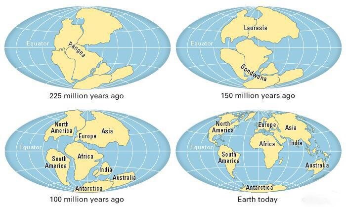 Есть доказательства того, что континенты когда-то были объединены. 