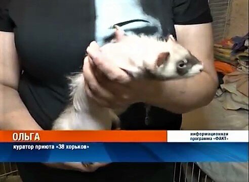 Кадр из передачи информационного канала "Факт" города Братск