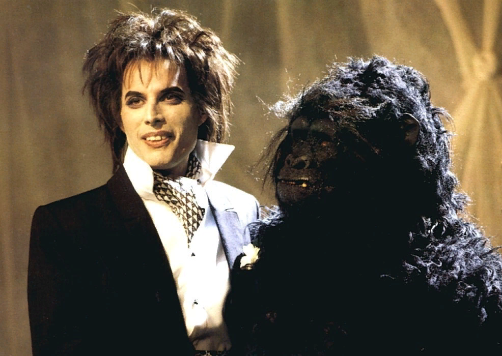 Яндекс.картинки