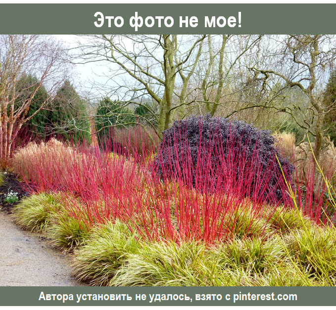 Sir Harold Hillier Gardens