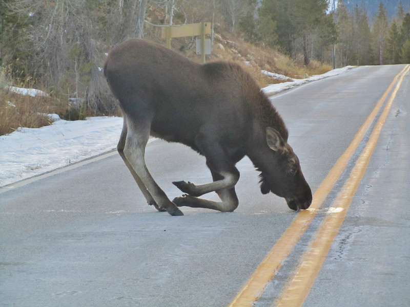 Вот это я понимаю ломка - смотрите как скукурузило. 