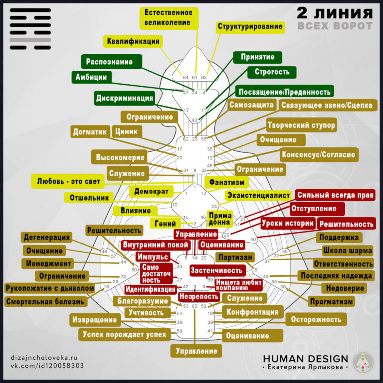 Сексуальная информация в бодиграфе