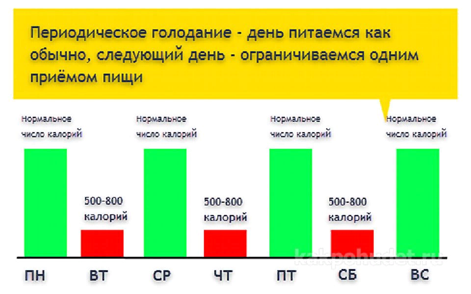 Сколько можно голодать без. Периодическое голодание. Интервальное голодание 16 8 голодание. Периодическое голодание схемы. Прерывистое голодание для похудения схема.